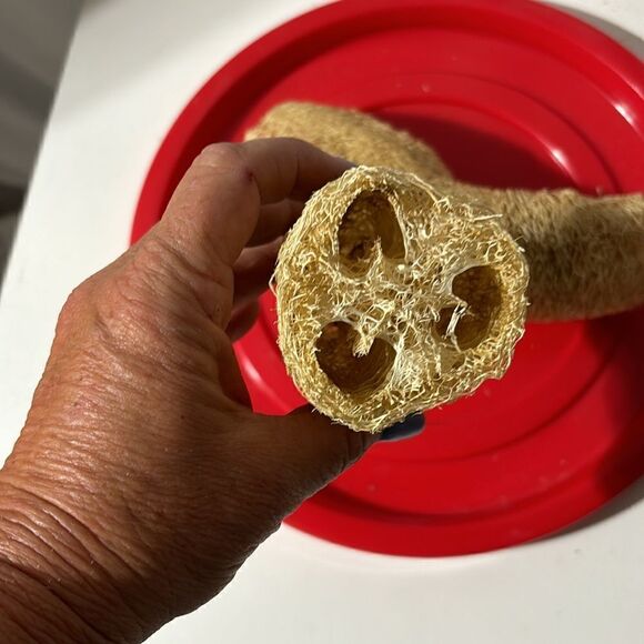 Loofah for crafting - Picture 2 of 5